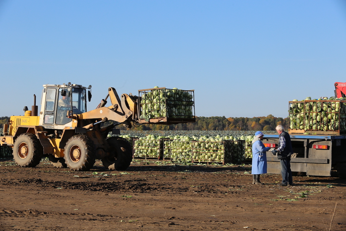 Новосибирская область увеличила поддержку на обновление сельхозтехники