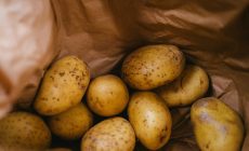 Оценены потери урожая от майских заморозков: ранняя картошка подорожает